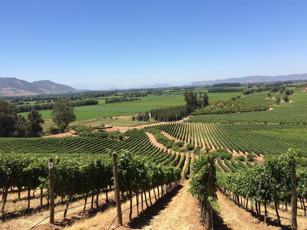 Noi Blend Colchagua Hotel ซานตาครูซ ภายนอก รูปภาพ